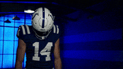 Football Sport GIF by Indianapolis Colts