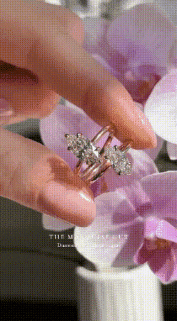 ShivShambuDiamonds giphygifmaker ring engagement ring shiv GIF