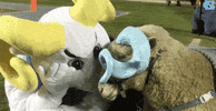 carolina football love GIF by UNC Tar Heels