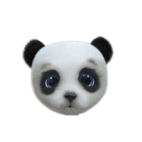 Confused Panda Bear Sticker by cryptoys