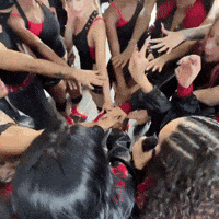 Megan Lollapalooza GIF by Respective