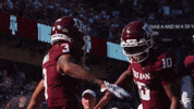 High Five College Football GIF by Texas A&M Athletics