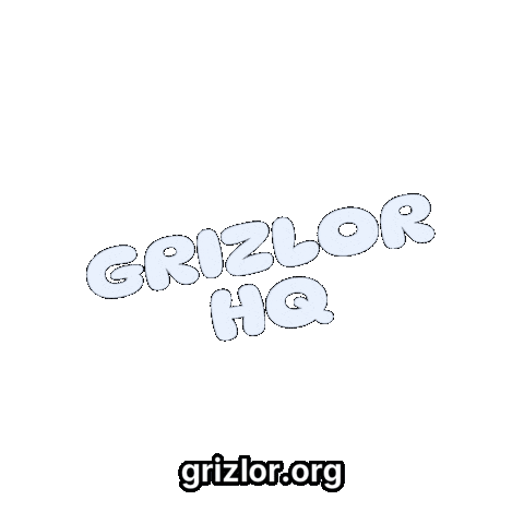 Fun Bear Sticker by grizlor