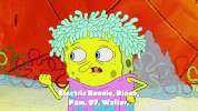 season 9 sanctuary GIF by SpongeBob SquarePants