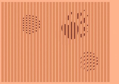 serhikorolchukgmailcom giphyupload GIF
