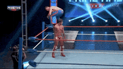 Pro Wrestling Nwa GIF by United Wrestling Network