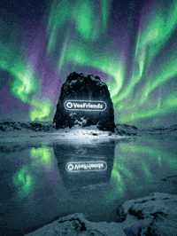 Northern Lights Logo GIF by VeeFriends