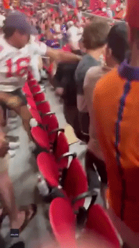 Football Fans Trade Punches at College Game
