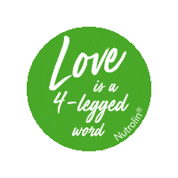 Nutrolin dog horse hund love is Sticker