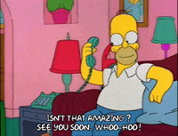 Season 2 GIF by The Simpsons