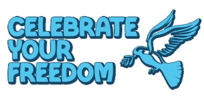 Festival Sticker by Absolutely Fresh