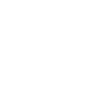 Food Eat Sticker by Visit Sunshine Coast