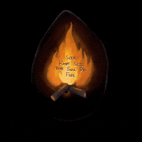 salshai fire salshaiarts GIF