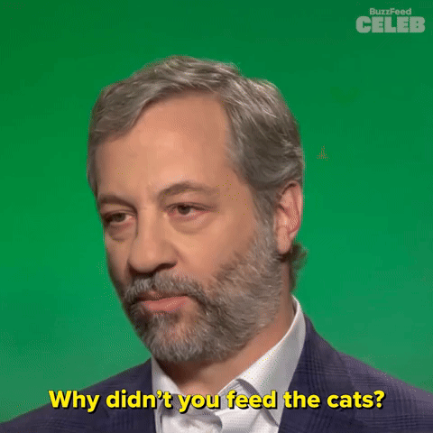 Why Didn't You Feed The Cats?