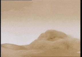 paul atreides desert GIF