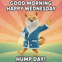 GIF by Doge Pound