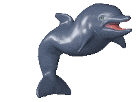 animation loop Sticker by jellygummies