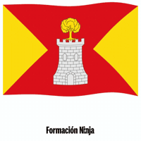 Flag Spain GIF by Formación Ninja