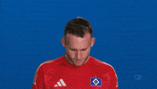 Look Up Hamburger Sv GIF by Bundesliga