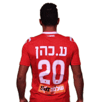 Hta Yallahapoel Sticker by Hapoel TelAviv FC