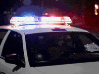 Flashing Lights Cops GIF