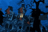 Scooby Doo Bat GIF
