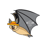 Bat Sticker by BatBnB
