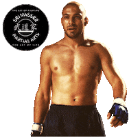 Artistoflife Sticker by Seiwasser