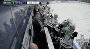 Celebrate Ice Hockey GIF by NHL