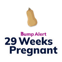 Pregnancy Expecting Sticker by The Bump