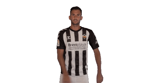 Cdcs Sticker by CD Castellon