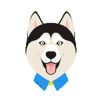 Dog Huskies Sticker by noSun Groepsreizen