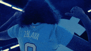 North Carolina GIF by UNC Tar Heels