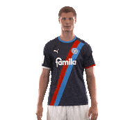 Swipe Up 2 Bundesliga Sticker by Holstein Kiel