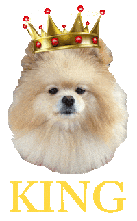 Dog Queen Sticker