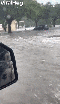 Just Another Rainy Day In Texas GIF by ViralHog