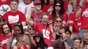 Buckeyes Football GIF by Ohio State Athletics