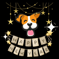 Barry GIF by Lero Lero