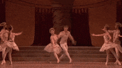 GIF by Royal Opera House