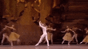royaloperahouse  GIF