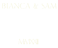 Cheers Wedding Sticker by Bianca Bosso