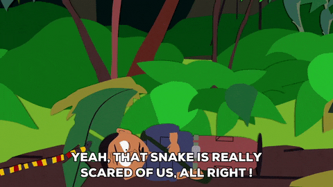snake jungle GIF by South Park 