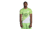 Germany Hello Sticker by VfL Wolfsburg