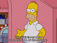 homer simpson GIF