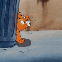 shake it cat GIF by Disney