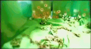 k-pop GIF