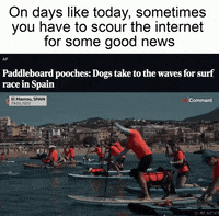 Happy Good News GIF