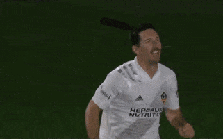 Happy Lets Go GIF by Major League Soccer