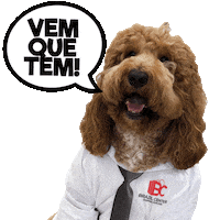 Dogs Sale Sticker by Brazil Center