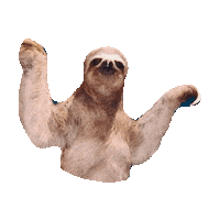 sloth sup STICKER by imoji